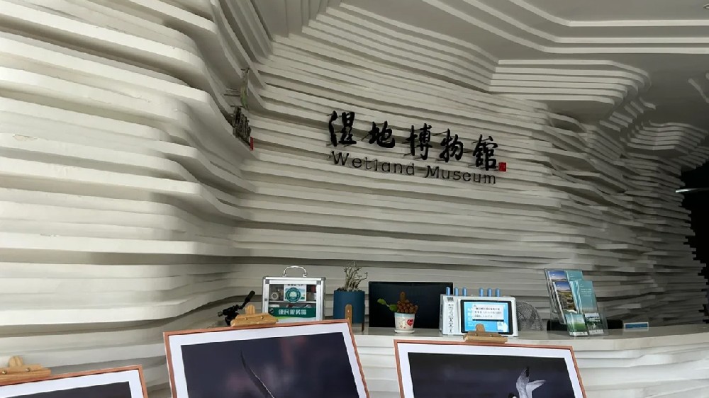 專注、專業、專心，閩江口濕地博物館項目施工